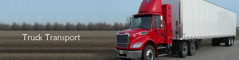 Truck Transport, Goods Transporters Gurgaon, Transporters in Gurgaon, Transporters Jaipur, Road Transporter in Gurgaon, Road Goods Transporter